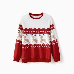 Men Christmas Reindeer Allover Print Raglan-sleeve Red and White Sweatshirts